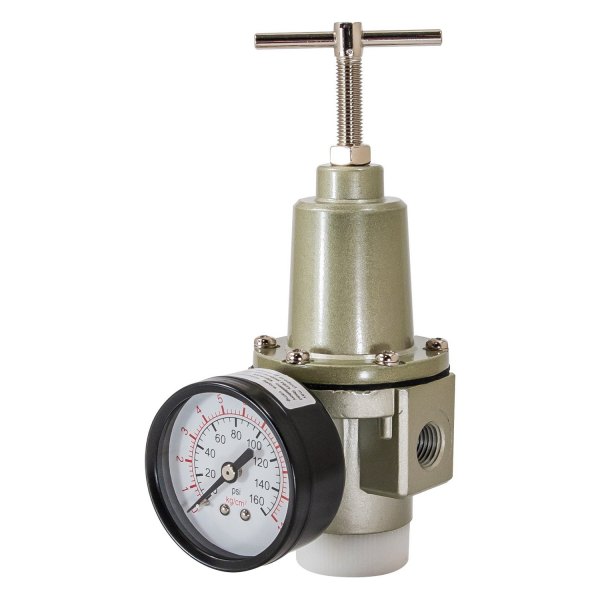 AES Industries® - 1/4" (F) NPT x 1/4" (F) NPT Air Regulator with Guage