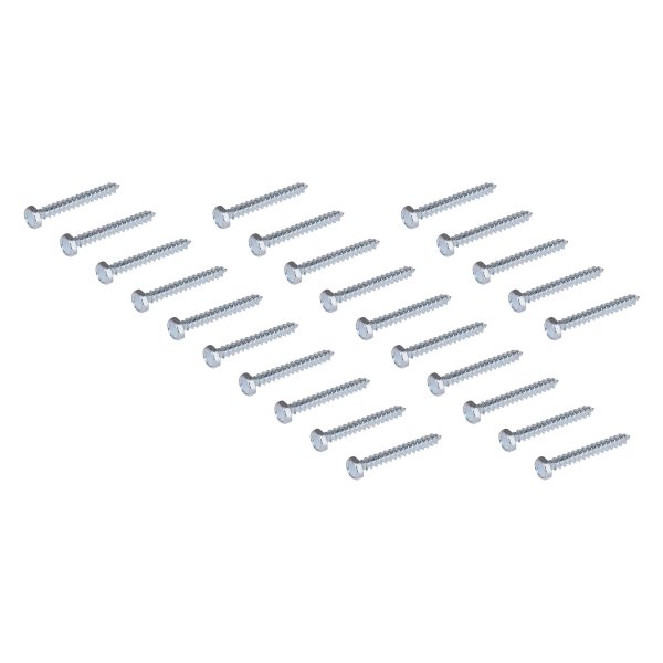 AES Industries® - Dent Puller Screw (25 Pieces)
