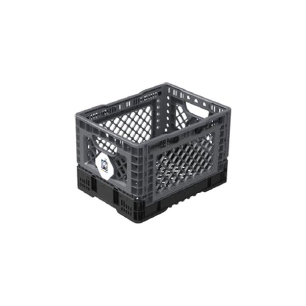 BigAnt® - Collapsible Container