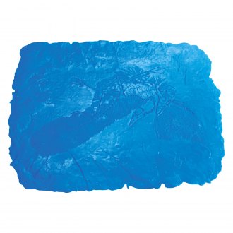 BonWay® - Fossil Stamp