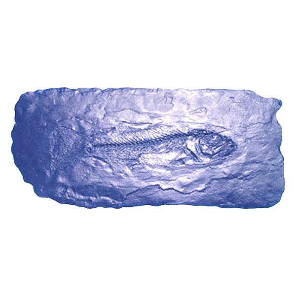 BonWay® - 18" x 9" Fish Fossil Stamp