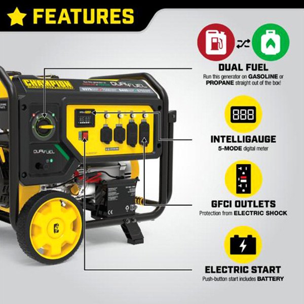 Champion Power Equipment 9375/7500-Watt Dual Fuel Portable Generator with Electric Start (CARB) Champion Power Equipment 9375/7500-Watt Dual Fuel Portable Generator with Electric Start (CARB)