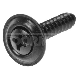 Dorman® - #10-16 x 1" Plastic Phillips Trim Head Screw Assortment (5 Pieces)