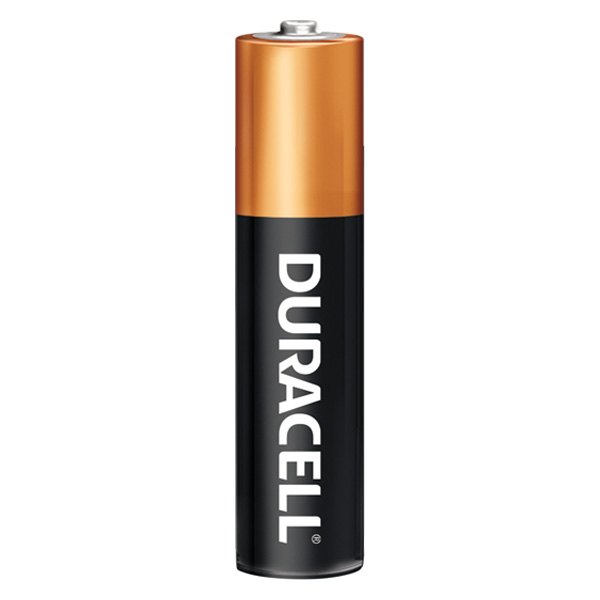 Duracell® - COPPERTOP™ AAA 1.5 V Alkaline Primary Batteries (24 Pieces)
