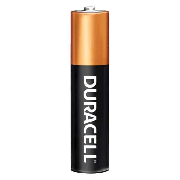 Duracell® - COPPERTOP™ AAA 1.5 V Alkaline Primary Batteries (12 Pieces)