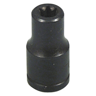 Lisle® - 1/4" Drive E5 External Torx Standard Socket