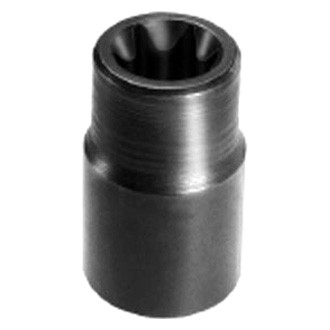 Lisle® - 1/2" Drive E20 External Torx Standard Socket