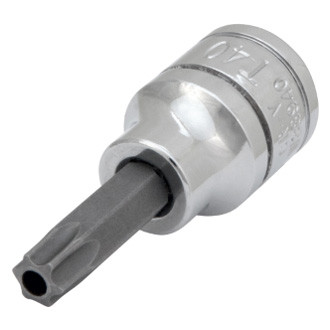 Performance Tool® - 3/8" Drive Torx (TR) Bit Socket