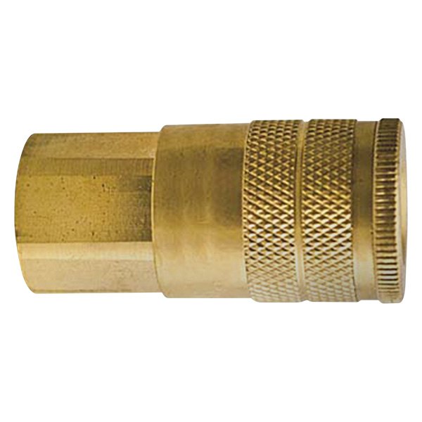 The Main Resource® - D-Style 1/2" (F) NPT x 1/2" Steel Quick Coupler Body