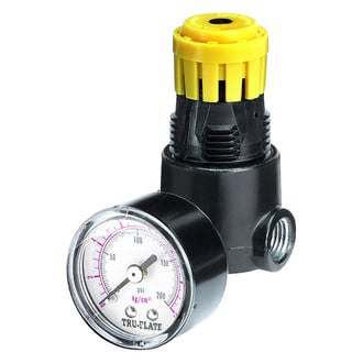 Tru-Flate® - Mini™ 1/4" (F) NPT x 1/4" (F) NPT 13 CFM Air Regulator with Gauge